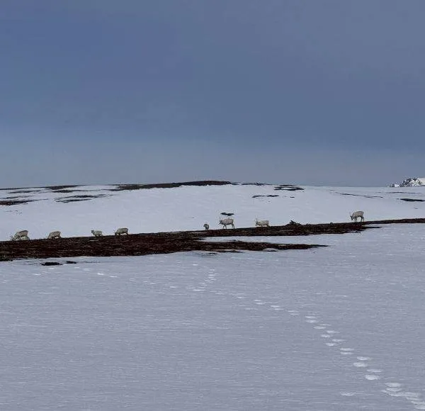 SCANDIC RIDE 2025 JUSTRIDE T2-15