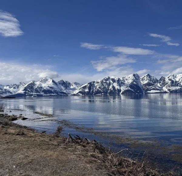 SCANDIC RIDE 2025 JUSTRIDE T2-192