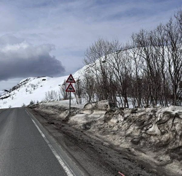 SCANDIC RIDE 2025 JUSTRIDE T2-211