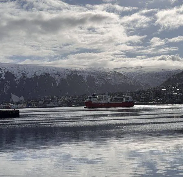 SCANDIC RIDE 2025 JUSTRIDE T2-362