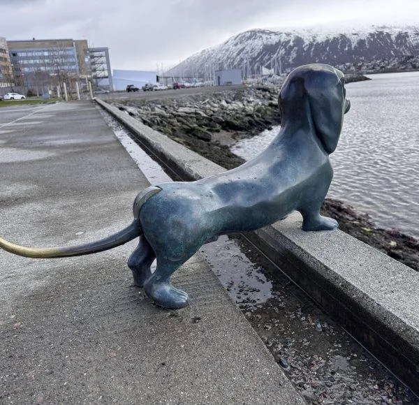 SCANDIC RIDE 2025 JUSTRIDE T2-388