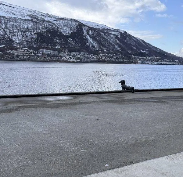 SCANDIC RIDE 2025 JUSTRIDE T2-408